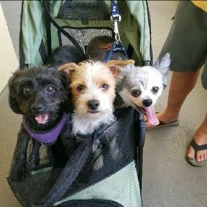 Meet your Posher, Karen